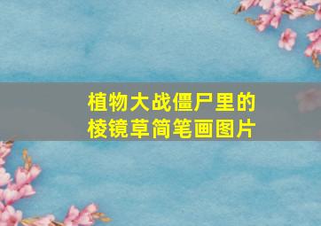 植物大战僵尸里的棱镜草简笔画图片