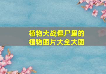 植物大战僵尸里的植物图片大全大图