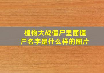 植物大战僵尸里面僵尸名字是什么样的图片