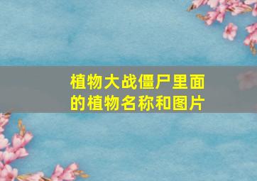 植物大战僵尸里面的植物名称和图片