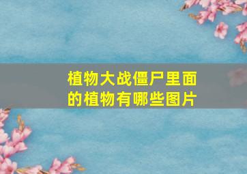 植物大战僵尸里面的植物有哪些图片