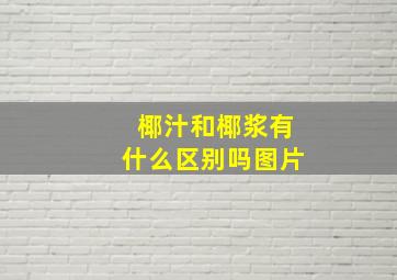 椰汁和椰浆有什么区别吗图片