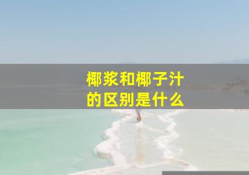 椰浆和椰子汁的区别是什么