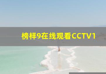 榜样9在线观看CCTV1