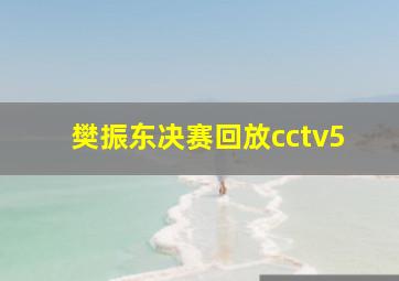 樊振东决赛回放cctv5