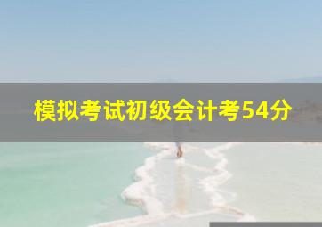 模拟考试初级会计考54分