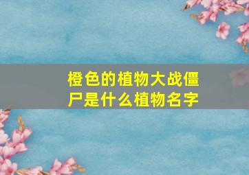 橙色的植物大战僵尸是什么植物名字