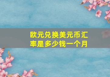 欧元兑换美元币汇率是多少钱一个月