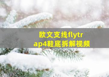 欧文支线flytrap4鞋底拆解视频