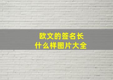 欧文的签名长什么样图片大全