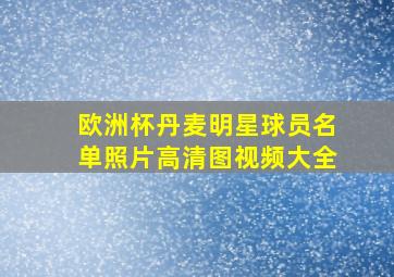 欧洲杯丹麦明星球员名单照片高清图视频大全