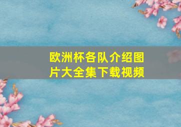 欧洲杯各队介绍图片大全集下载视频