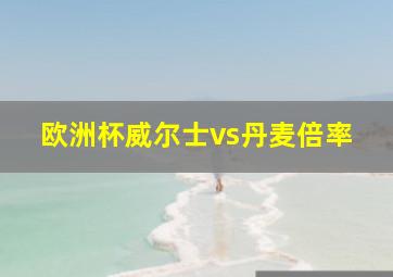 欧洲杯威尔士vs丹麦倍率