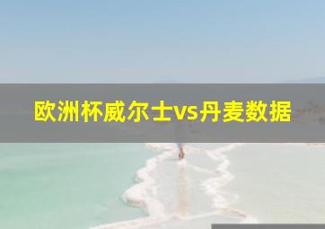 欧洲杯威尔士vs丹麦数据