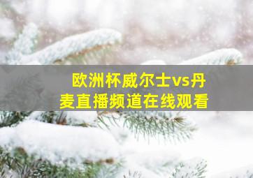 欧洲杯威尔士vs丹麦直播频道在线观看