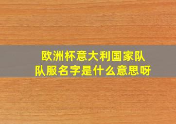 欧洲杯意大利国家队队服名字是什么意思呀