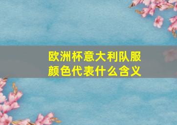 欧洲杯意大利队服颜色代表什么含义