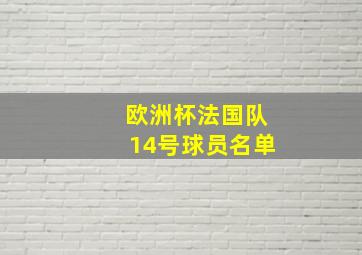 欧洲杯法国队14号球员名单