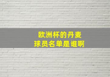 欧洲杯的丹麦球员名单是谁啊