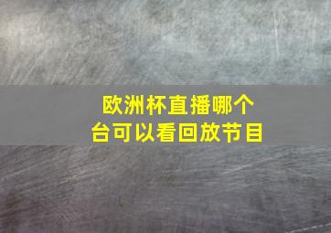 欧洲杯直播哪个台可以看回放节目