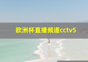 欧洲杯直播频道cctv5