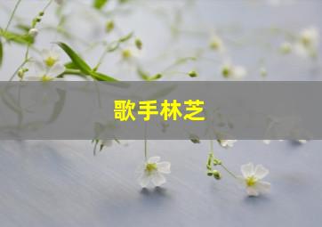 歌手林芝