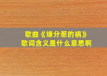 歌曲《缘分惹的祸》歌词含义是什么意思啊