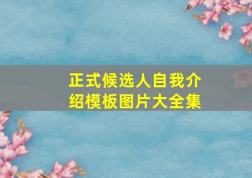 正式候选人自我介绍模板图片大全集