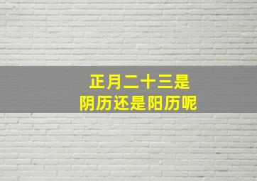 正月二十三是阴历还是阳历呢