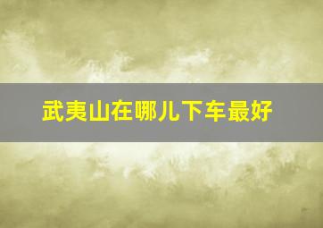 武夷山在哪儿下车最好