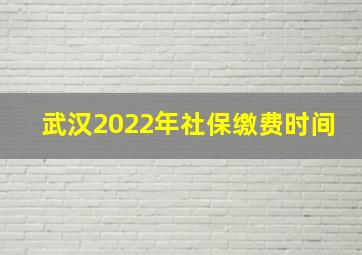 武汉2022年社保缴费时间