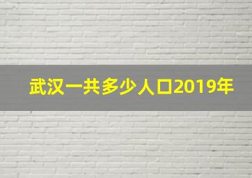 武汉一共多少人口2019年