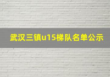 武汉三镇u15梯队名单公示