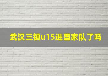 武汉三镇u15进国家队了吗