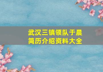 武汉三镇领队于晨简历介绍资料大全