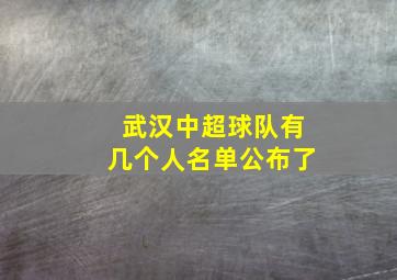 武汉中超球队有几个人名单公布了