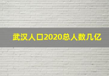 武汉人口2020总人数几亿