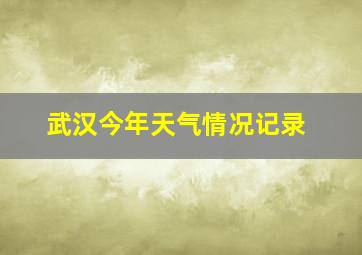 武汉今年天气情况记录