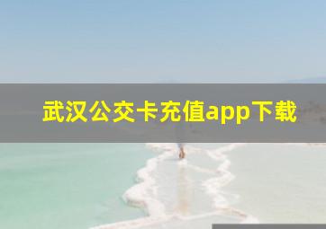 武汉公交卡充值app下载