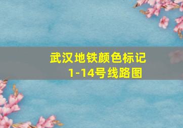 武汉地铁颜色标记1-14号线路图