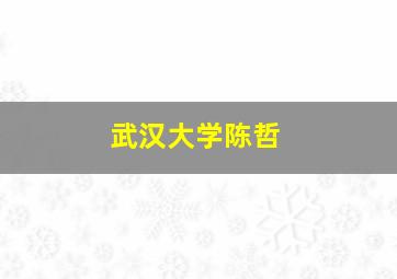 武汉大学陈哲