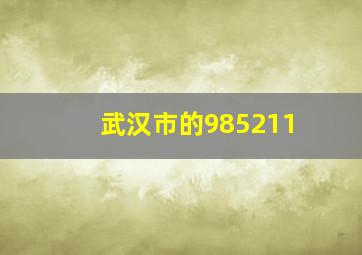 武汉市的985211