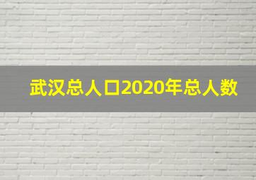 武汉总人口2020年总人数