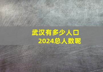 武汉有多少人口2024总人数呢