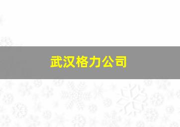 武汉格力公司