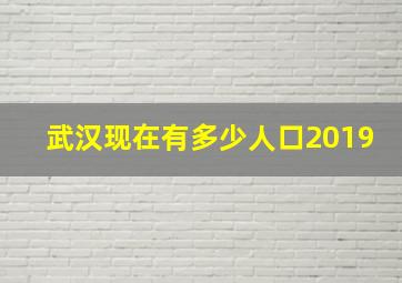 武汉现在有多少人口2019