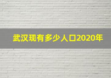 武汉现有多少人口2020年