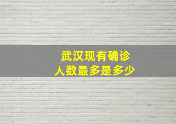 武汉现有确诊人数最多是多少