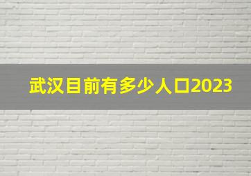 武汉目前有多少人口2023