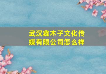 武汉鑫木子文化传媒有限公司怎么样